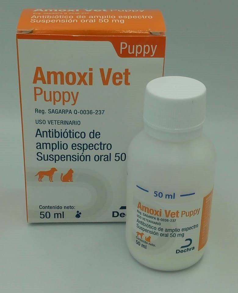 Amoxi Vet Puppy 50 mg frasco 50 ml ( Amoxivet )