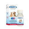 Amoxipet Jr Frasco con gotero graduado de 15 ml