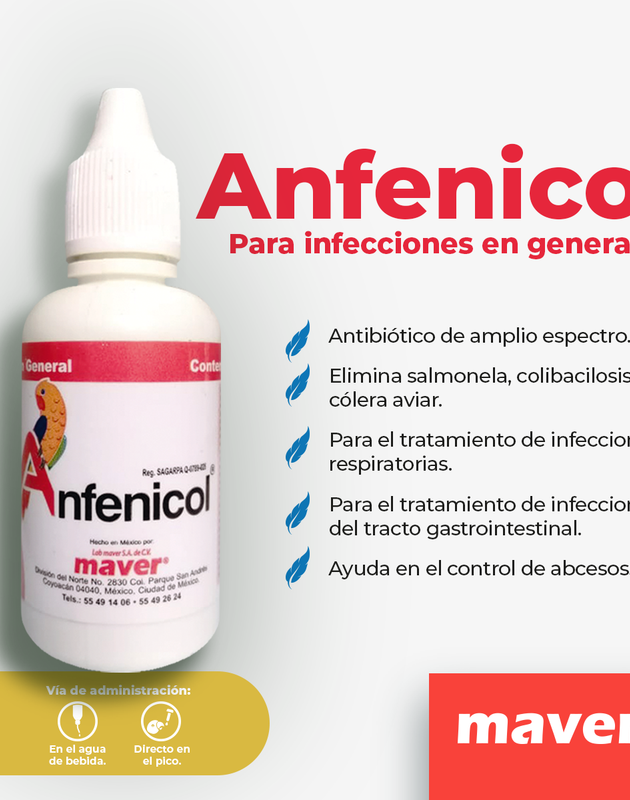 Anfenicol 30 mL