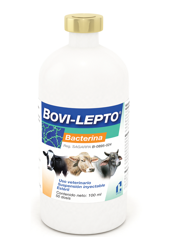 Bacterina Bovi Lepto Frasco con 100 ml (50 dosis) REQUIERE TRANSPORTARSE EN FRÍO LLAME PARA COTIZAR ENVÍO