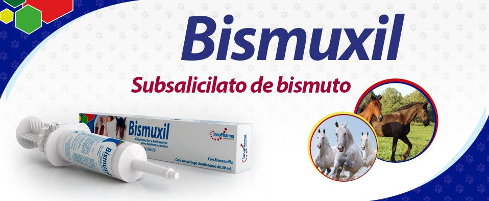 Bismuxil Pasta Oral 30 ml