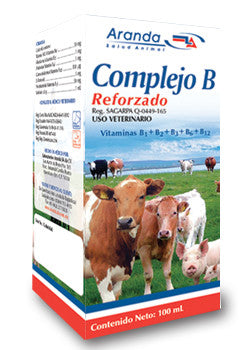 Complejo B Reforzado Frasco con 100 ml