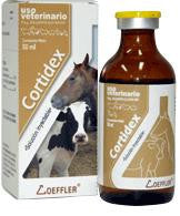 Cortidex Frasco con 50 ml