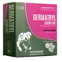 Dermatryl SPA Jabón 100 g