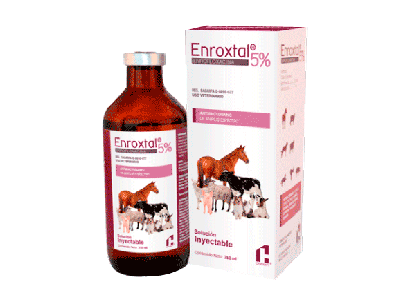 ENROXTAL 5% 25 mL Inyectable