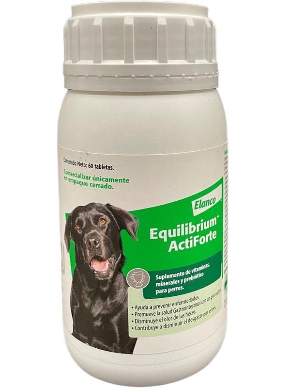 Equilibrium ActiForte 60 Tabletas (Suplemento de Vitaminas, Minerales y Prebióticos para perro )