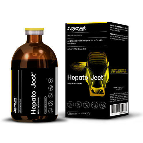 Hepato Ject 100 mL Inyectable AGOTADO