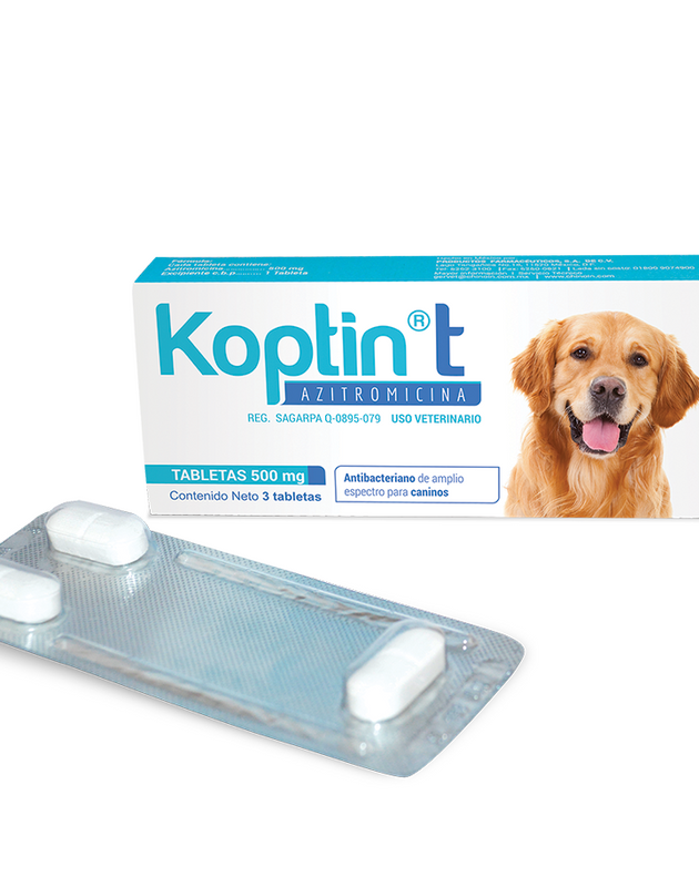 KOPTIN T  500 mg  ( 3 tabletas )