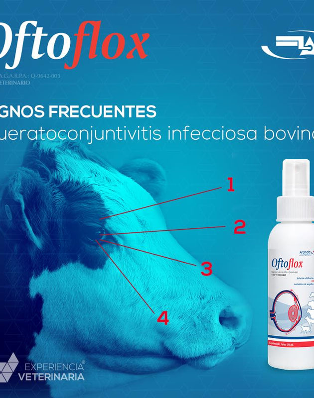 Oftoflox 30 mL