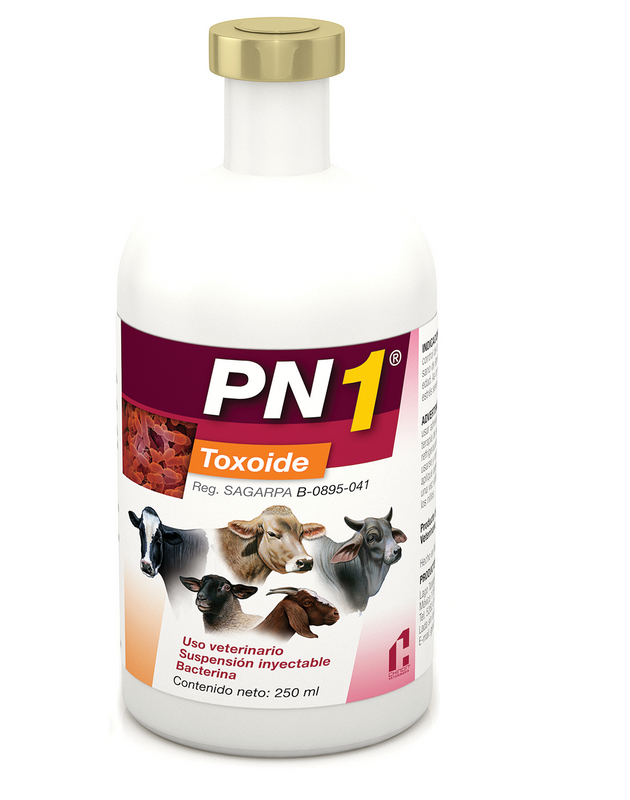 Bacterina Toxoide Chinoin PN1  Pasteurelosis Neumónica Frasco con 250 ml (50 dosis) REQUIERE TRANSPORTARSE EN FRÍO LLAME PARA COTIZAR ENVÍO