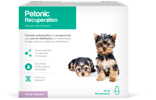 Petonic Recuperation Perros Razas Pequeñas 55 mL AGOTADO TEMPORALMENTE