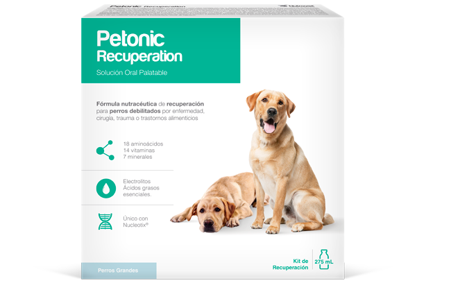 Petonic Recuperation Perros Razas Grandes 275 mL AGOTADO TEMPORALMENTE