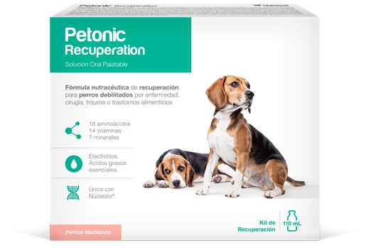 Petonic Recuperation Perros Razas Medianas 110 mL AGOTADO TEMPORALMENTE