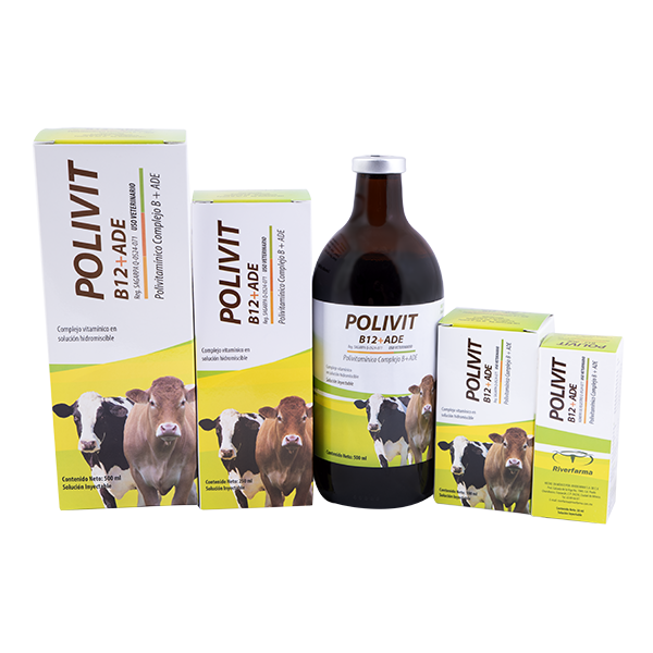 Polivit B 12  + ADE Frasco con 500 ml