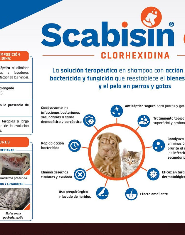 Scabisin clx Shampoo 350 ml Antiséptico Bactericida y Fungicida (Clorhexidina) TEMPORALMENTE AGOTADO