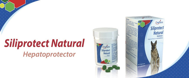 Siliprotec natural 60 Tabletas