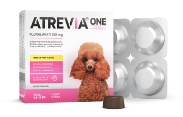 Atrevia ONE Small 4.5 - 10 kg 4 Tabletas (Fluralaner 100 mg)