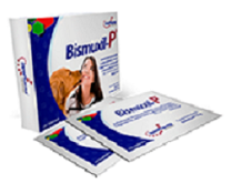 Bismuxil-P Caja con 3 sobres de 15 g