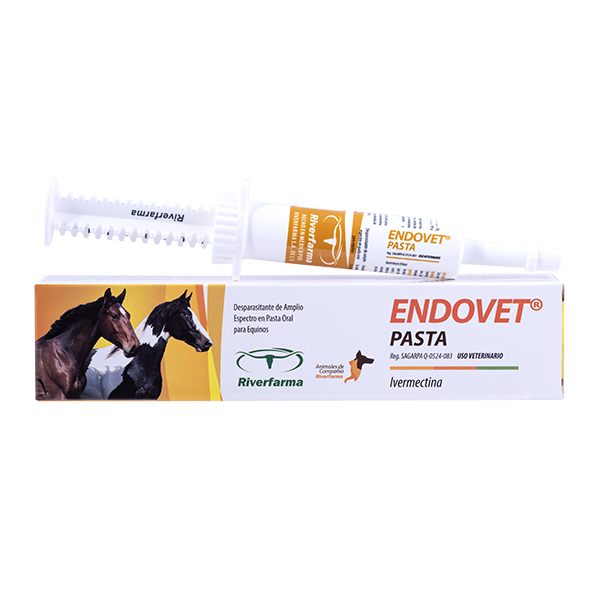 Endovet Pasta Caja con una Jeringa de 14 g AGOTADO TEMPORALMENTE