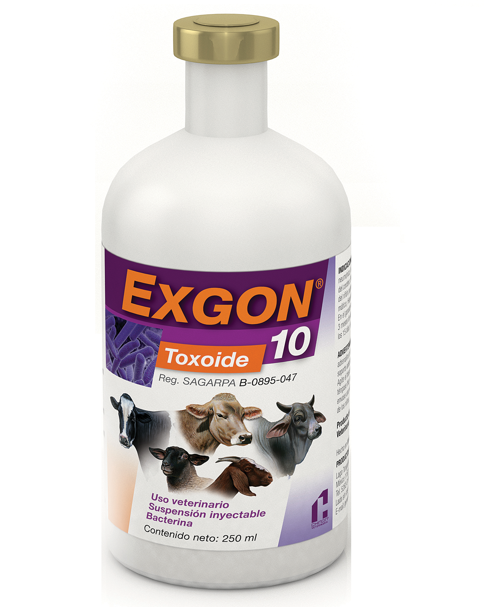 Bacterina Exgon 10 Frasco con 250 ml (50 dosis) REQUIERE TRANSPORTARSE EN FRÍO LLAME PARA COTIZAR ENVÍO