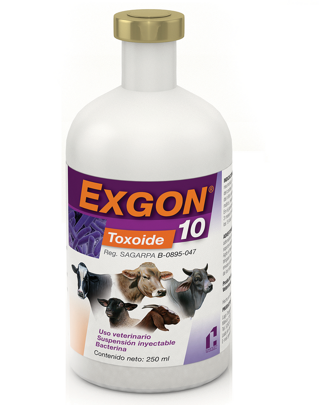 Bacterina Exgon 10 Frasco con 250 ml (50 dosis) REQUIERE TRANSPORTARSE EN FRÍO LLAME PARA COTIZAR ENVÍO