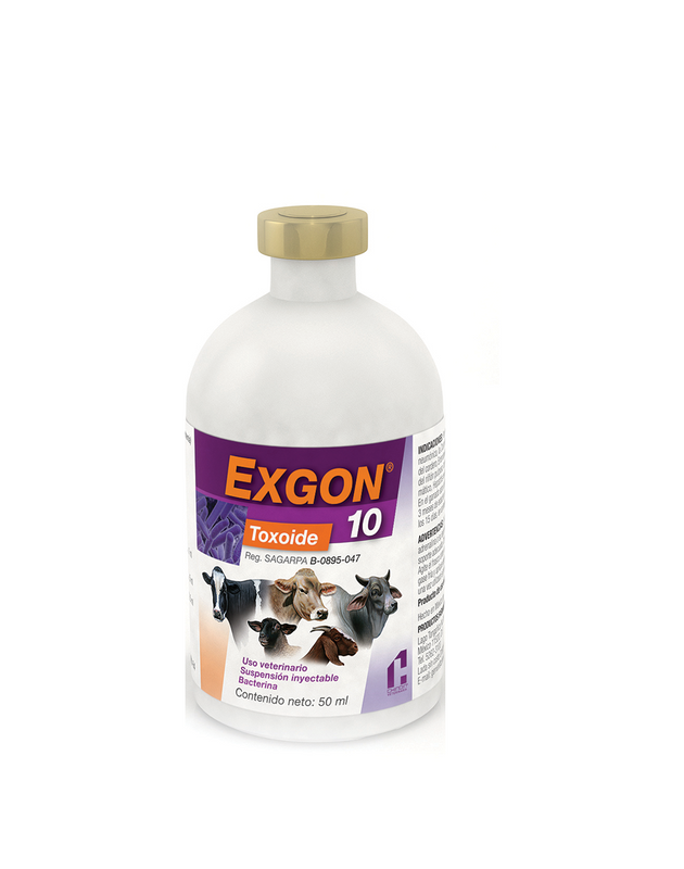 Bacterina Exgon 10 Frasco con 50 ml (10 dosis) REQUIERE TRANSPORTARSE EN FRÍO LLAME PARA COTIZAR ENVÍO