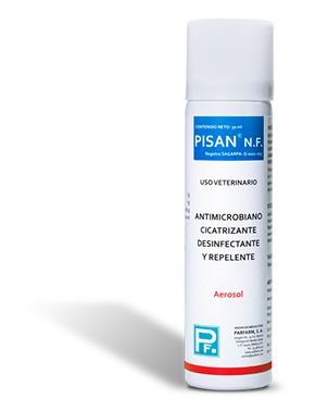 Pisan N.F. Envase aerosol de 50 ml